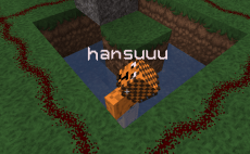 hansuuu
