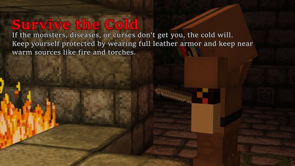 survive the cold.jpg