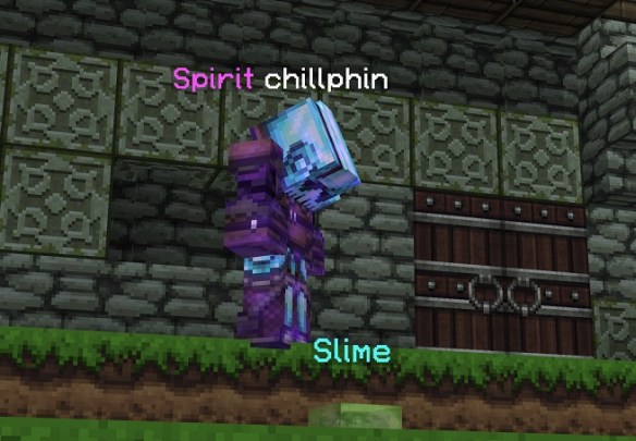 chillphin pet.jpg