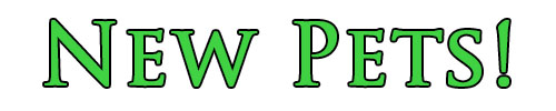 new pets.jpg